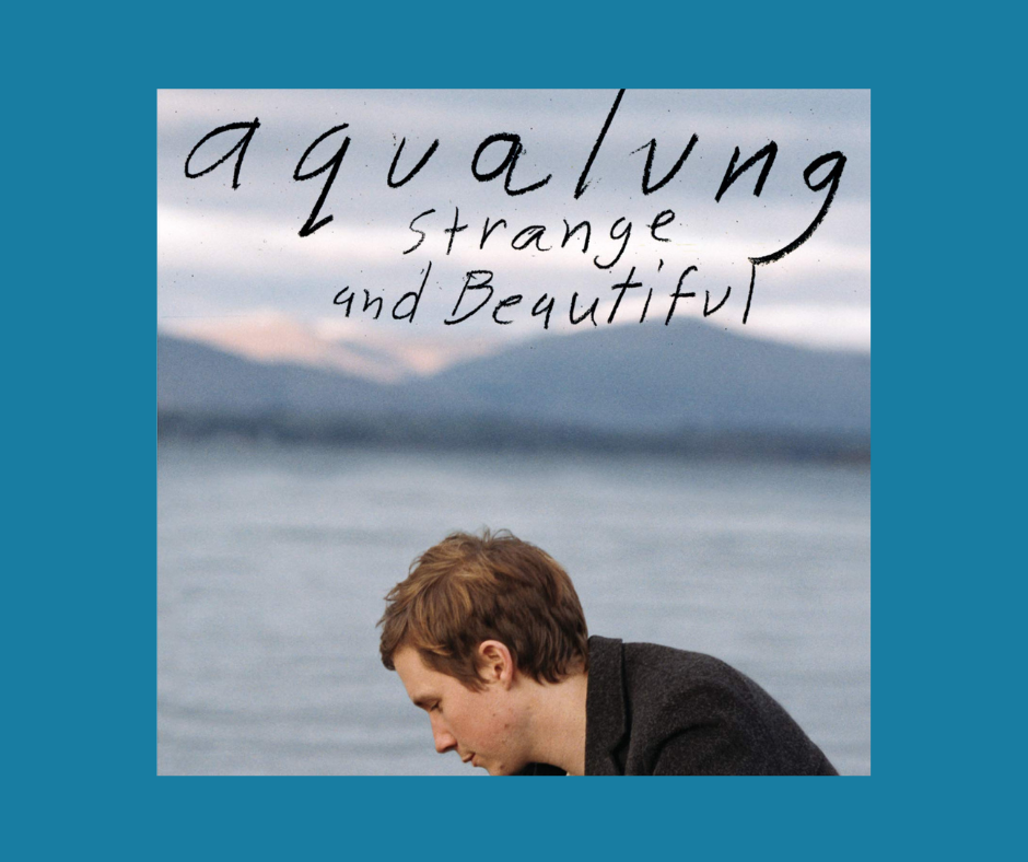 Strange & Beautiful album cover by aqualung